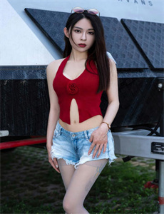 江湖龙虎斗